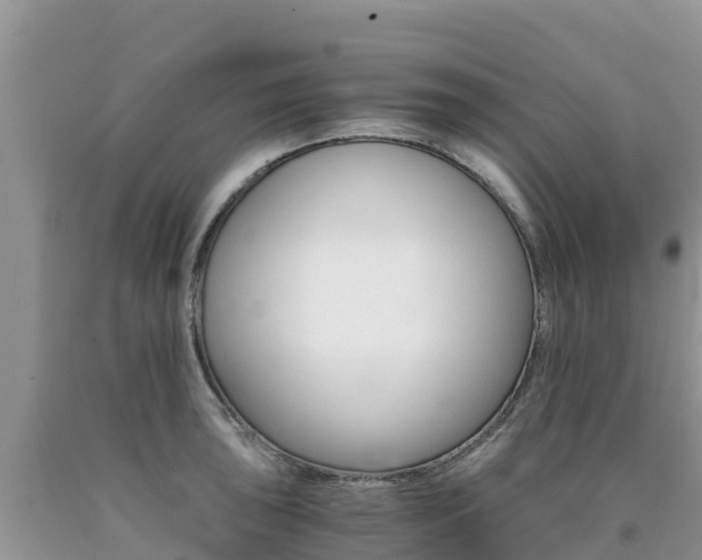 X0000090721043200707201009