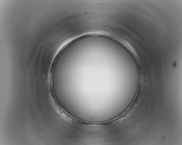 X0000090721044200707201009