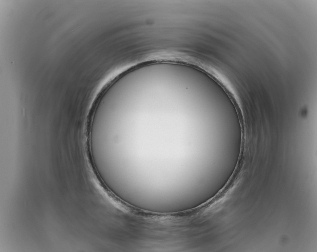 X0000090721045200707201009