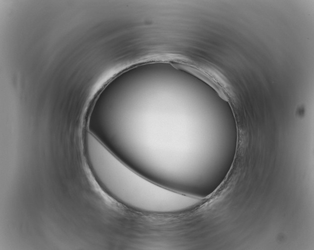 X0000090721046200707201009