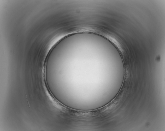 X0000090721047200707201009