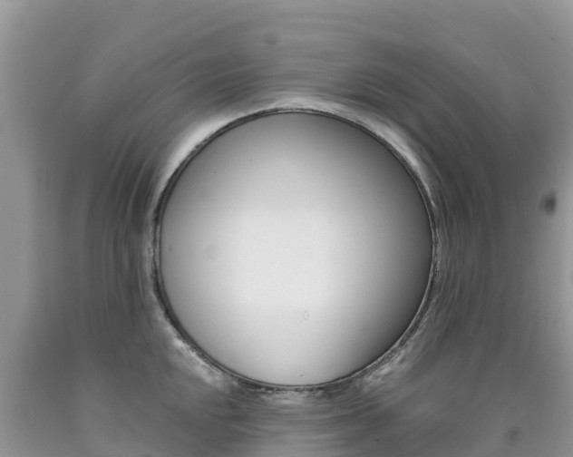 X0000090721048200707201009