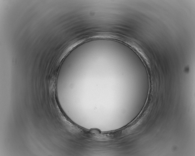 X0000090721049200707201009