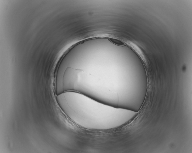 X0000090721051200707201009