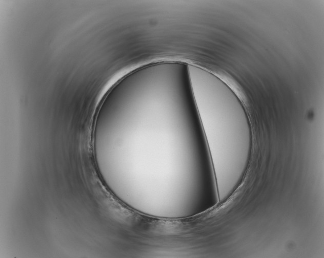 X0000090721052200707201009