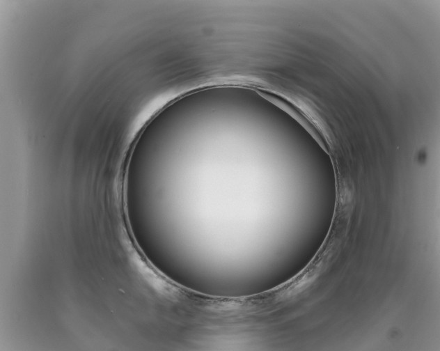 X0000090721054200707201009