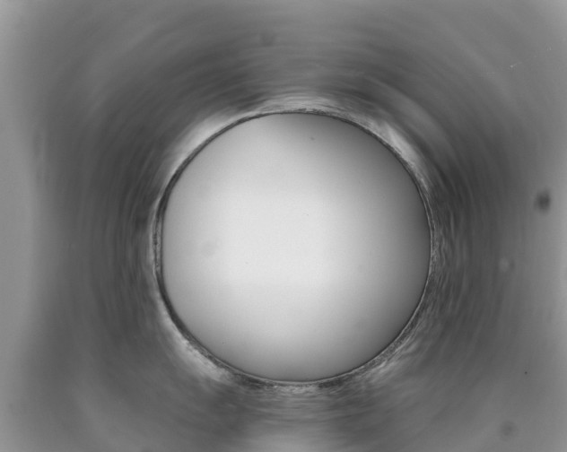 X0000090721055200707201009