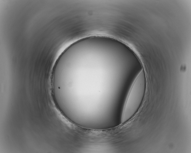 X0000090721056200707201009