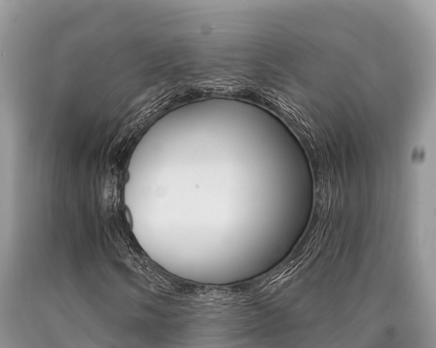 X0000090721058200707201009