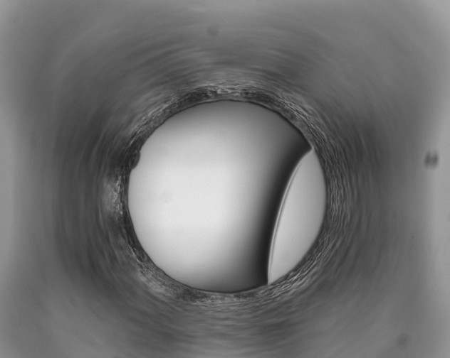 X0000090721060200707201009