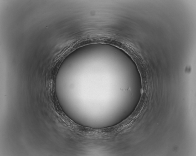 X0000090721061200707201009
