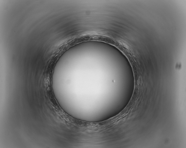 X0000090721062200707201009