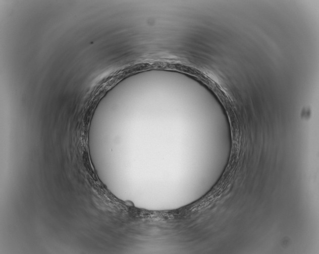 X0000090721063200707201009