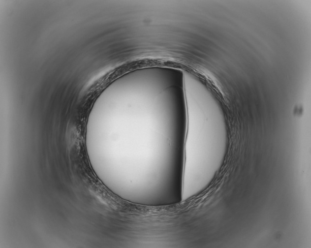 X0000090721064200707201009