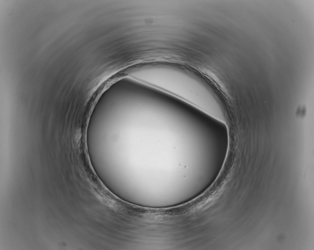 X0000090721065200707201009