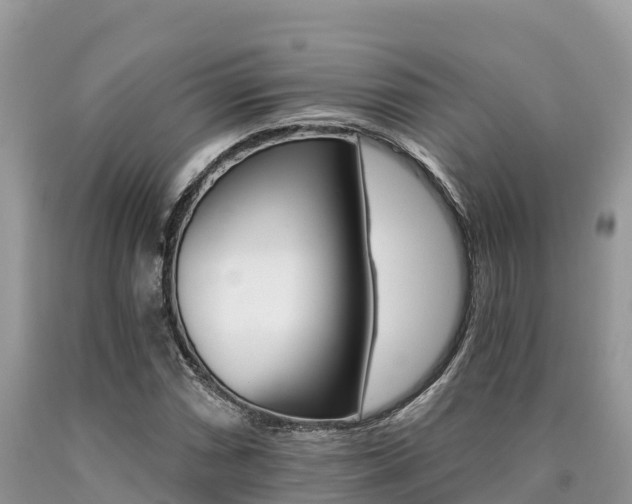 X0000090721066200707201009
