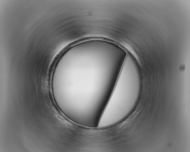 X0000090721068200707201008
