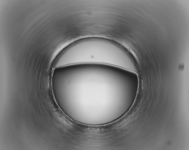 X0000090721069200707201008