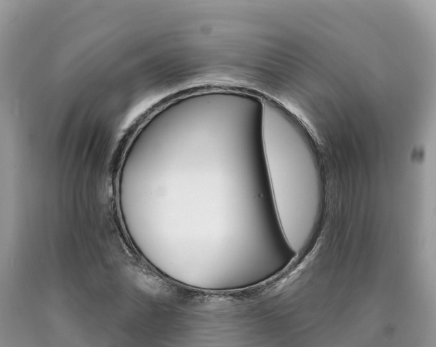 X0000090721070200707201008