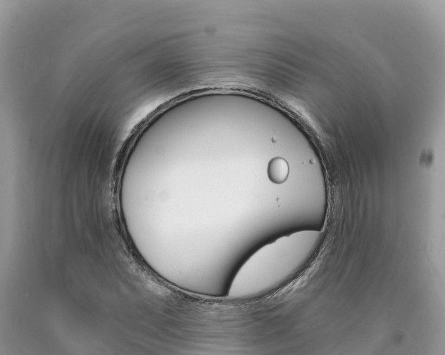 X0000090721071200707201008