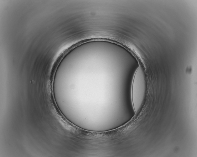 X0000090721072200707201008