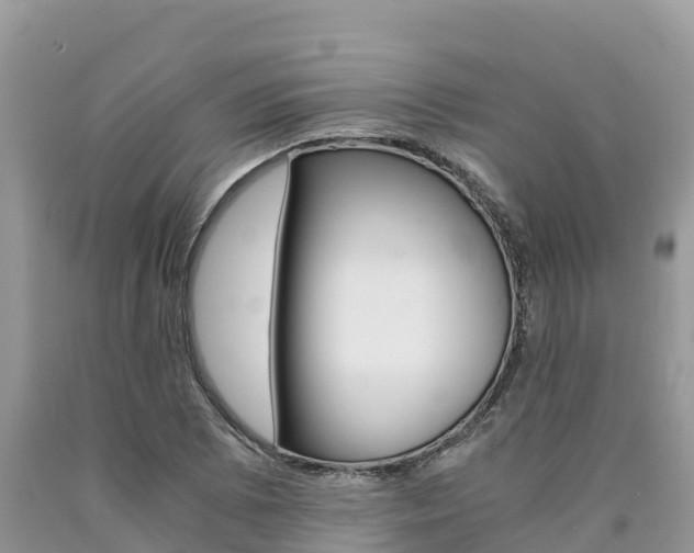 X0000090721073200707201008