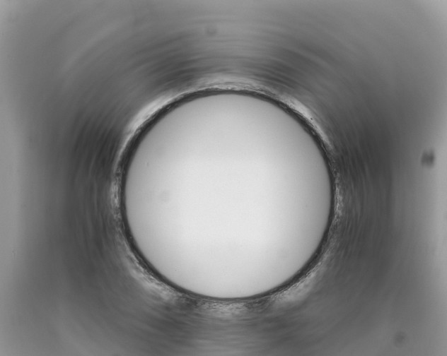 X0000090721074200707201008