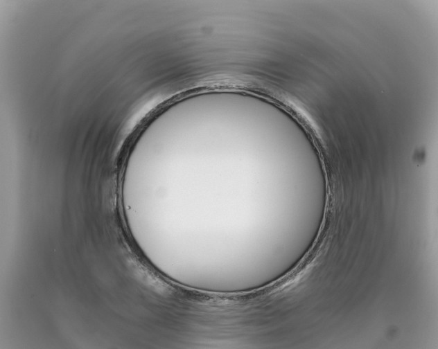 X0000090721075200707201008