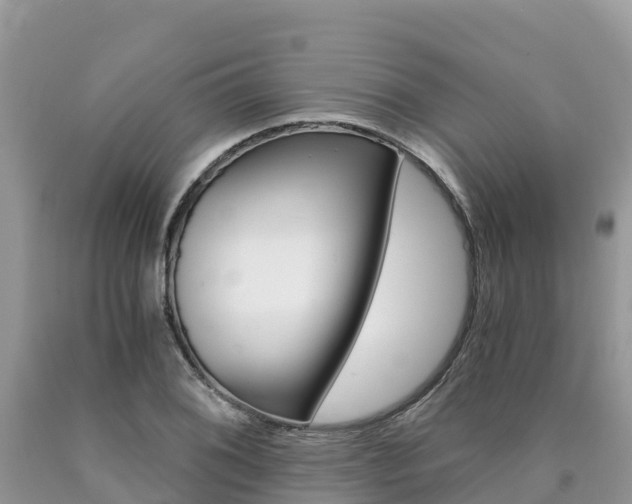 X0000090721076200707201008