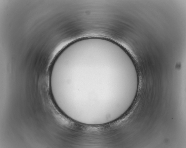 X0000090721078200707201008