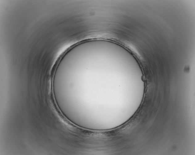 X0000090721079200707201008