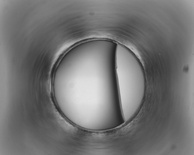 X0000090721080200707201008