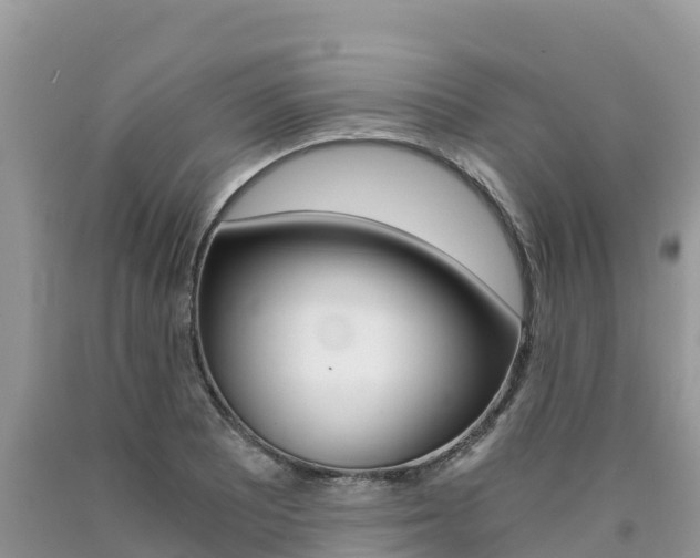 X0000090721081200707201008