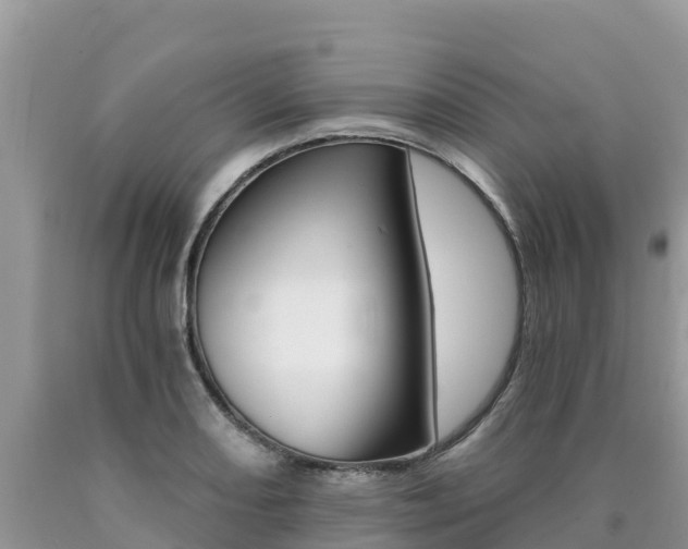 X0000090721082200707201008