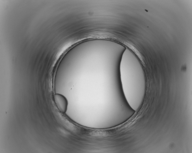 X0000090721083200707201008