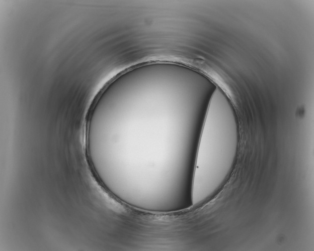 X0000090721084200707201008