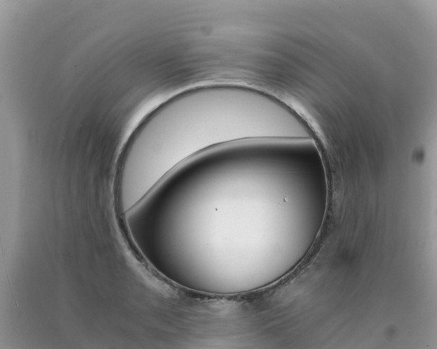 X0000090721085200707201008