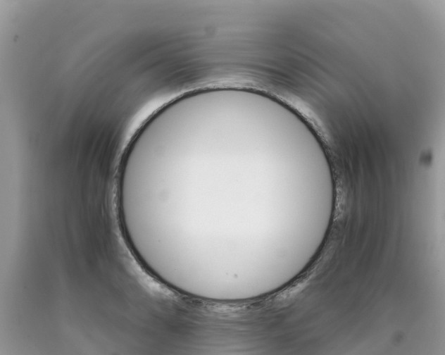 X0000090721086200707201008