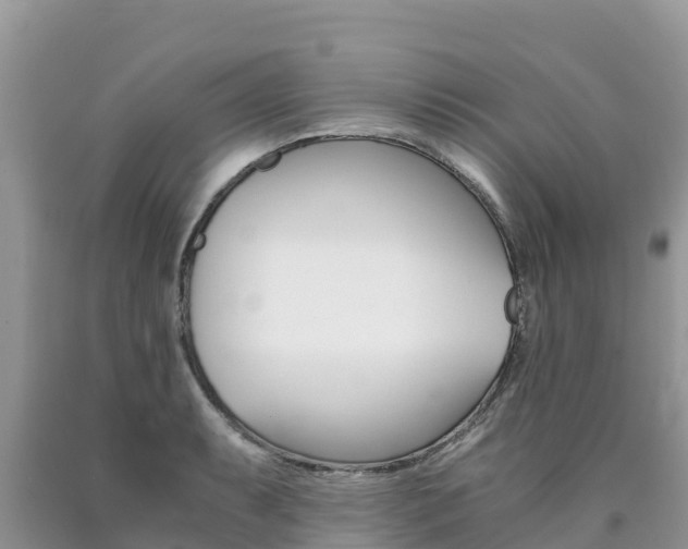X0000090721087200707201008