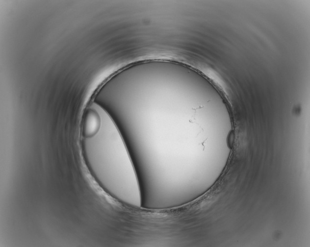 X0000090721088200707201008