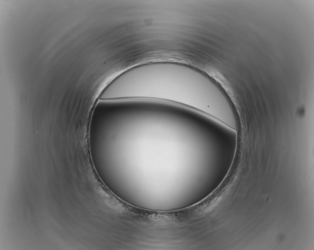 X0000090721089200707201008