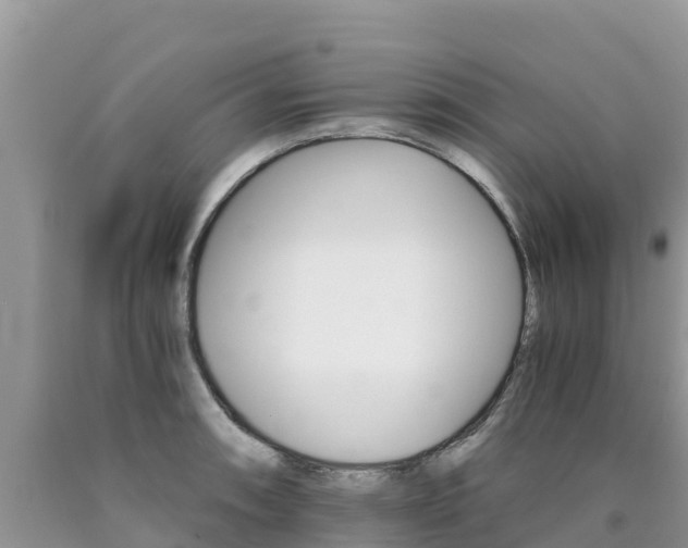 X0000090721090200707201008