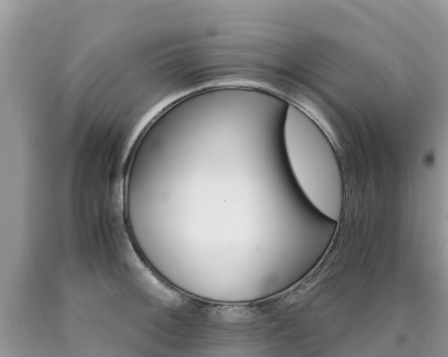 X0000090721092200707201008