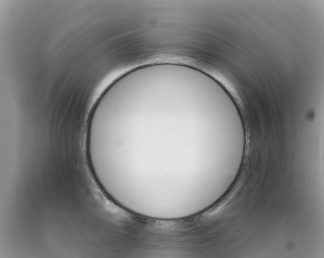 X0000090721094200707201008