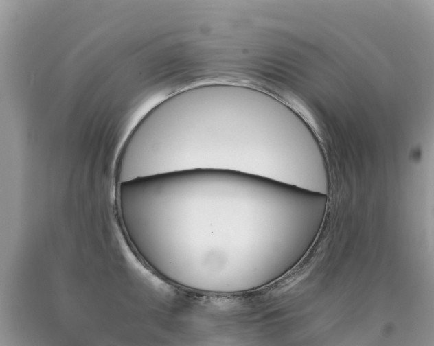 X0000090721095200707201008