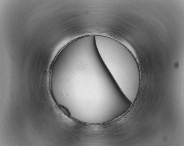 X0000090721096200707201008