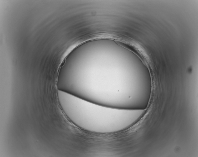 X0000090721097200707201008