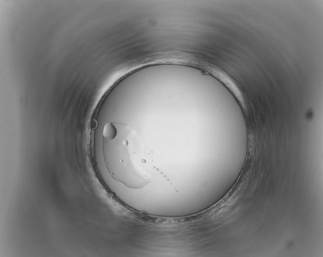 X0000090721099200707201008