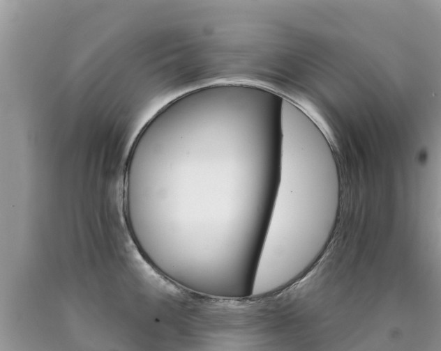 X0000090721100200707201008