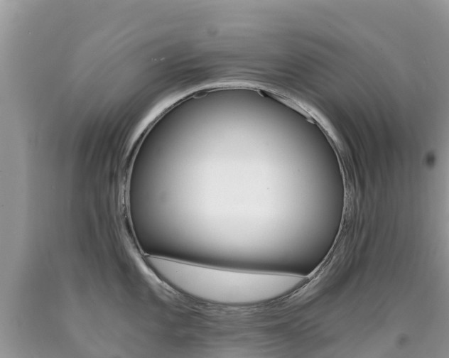 X0000090721101200707201008